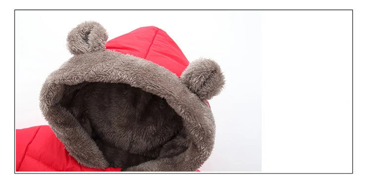 Veste Enfant Épaisse à Capuche - Manteau Chaud Garçon Fille 2-6 Ans