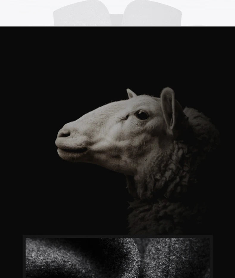 Manteau Homme Hiver BROWON - Style Chinois Col Montant Laine 2025